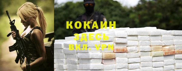 мяу мяу мука Аркадак