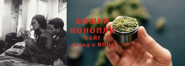 ПСИЛОЦИБИНОВЫЕ ГРИБЫ Арсеньев