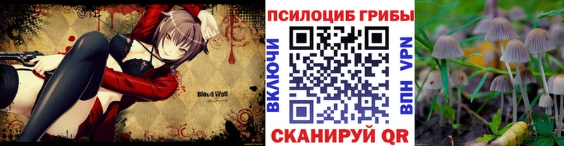 Галлюциногенные грибы Psilocybe Калач
